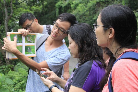 Identifying butterflies in field sites under the guidance of the instructor