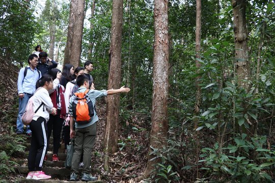 Get to know Hong Kong’s forest ecology