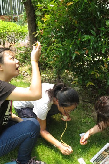 先於香港大學校園試用考察工具如吸蟻器