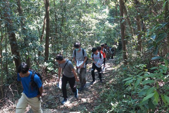 Comparing the ant ecology between cities and suburbs as a main theme of the activity