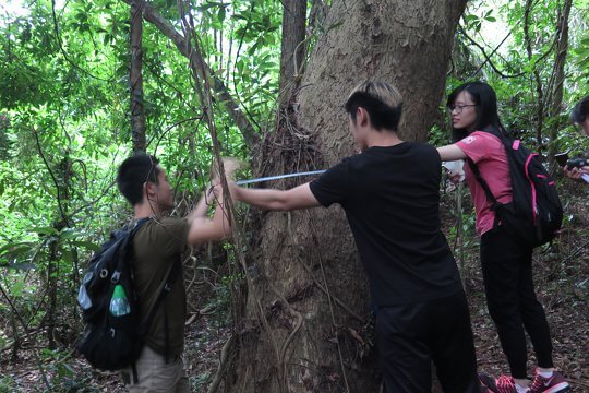 ECF Hong Kong Forest Conservation Ambassador Scheme - Tutor Training for Tertiary Students