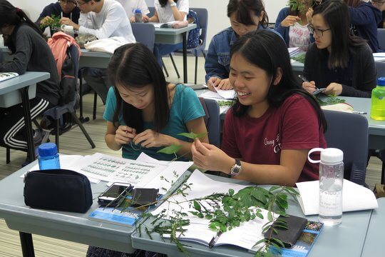 ECF Hong Kong Forest Conservation Ambassador Scheme - Tutor Training for Tertiary Students