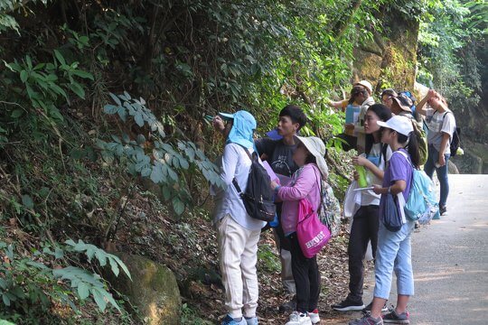 Intergeneration Lantau Eco-classroom (Plant theme)