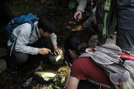 大嶼跨代生態學堂（兩棲爬行組）