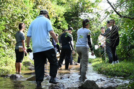 Lantau Freshwater Ecology Classroom - Tutor Training for Tertiary Students (Stream theme)