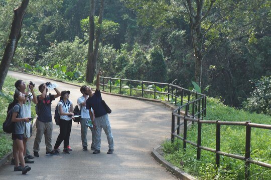 ECF Joyful learning in forest ecology - Board game．Outdoor．Environmental Education - Activity Tutor Training for Tertiary Students