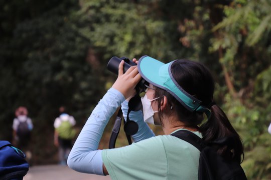 Making observation using a pair of binoculars. Is that a bird or a butterfly?