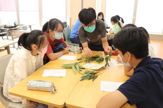 The tutor is using plant specimens to teach basic plant identification skills.