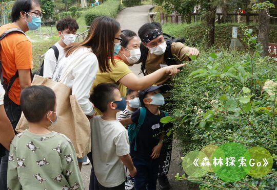 「葉可以有不同的形狀和觸感呢！」開啓五感，運用不同角度感受大自然。