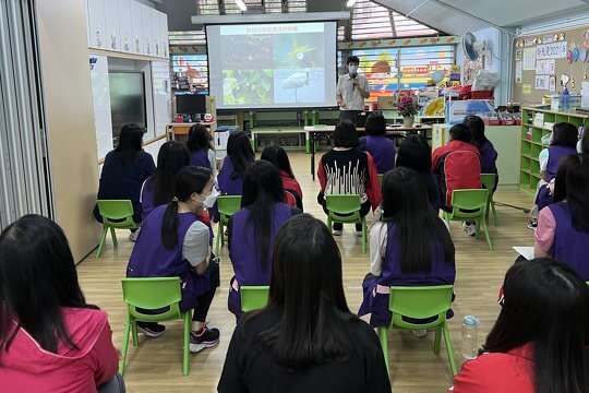 幼兒教師專業發展及培訓