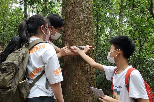 Students are trying to be a one-day forest researcher in the Tai Po Kau forest!
