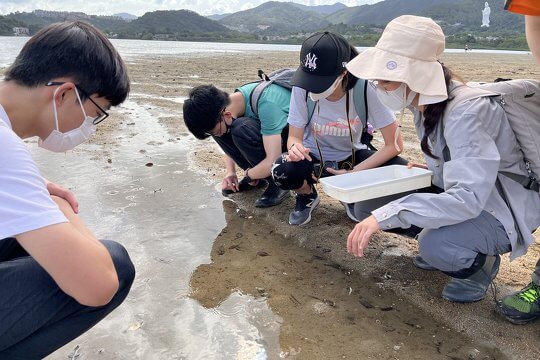 There are diverse organisms for us to learn about when we squat down and observe in an intertidal zone.