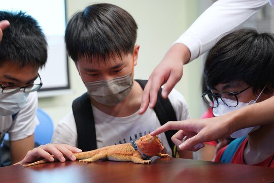 For many students, the herp ambassador session is the first up-close contact with amphibians and reptiles.