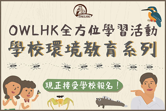 OWLHK全方位學習活動小學環境教育系列