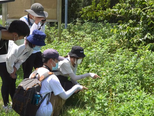 Insect pollinator survey ambassador training