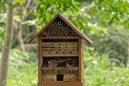 Insect Hotel and Pollinating Insects - School Educational Program