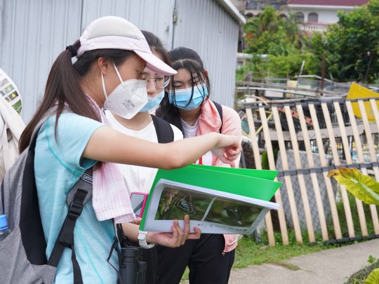 課程亦可安排學生於郊野公園、市區公園或學校蝴蝶園進行戶外考察。