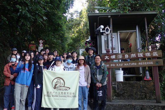 嶺南大學科學教研組 – 森林生態戶外考察