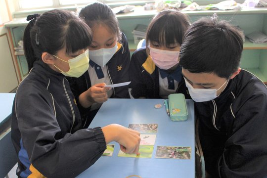 學生在《生態小偵探》互動遊戲中，以生物卡學習食物鏈