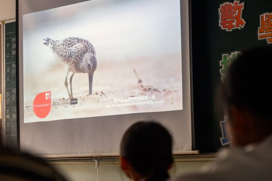 Students enjoying a local-filmed and produced video about bird ecology.