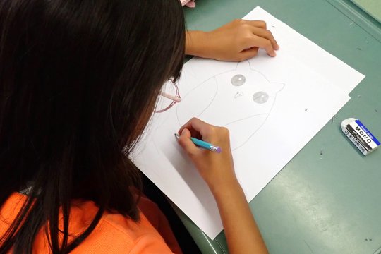 After learning an owl’s body features, a student drawing her own Collared Scops Owl.
