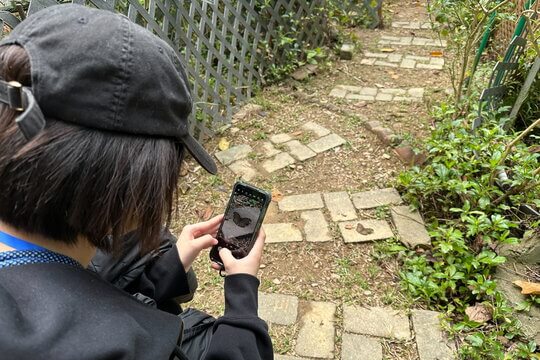 以相機記錄保護區發現的蝴蝶。