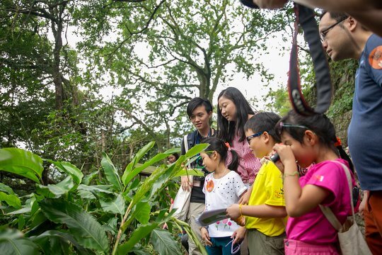 Forest Walk and Learn - Pok Fu Lam Reservoir