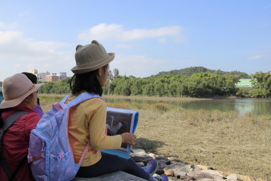 Nam Sang Wai Bird-watching day. Let’s slow down and observe the handsomeness of Grey Heron