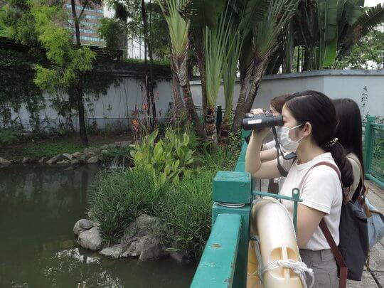 In search of urban birds in the park.