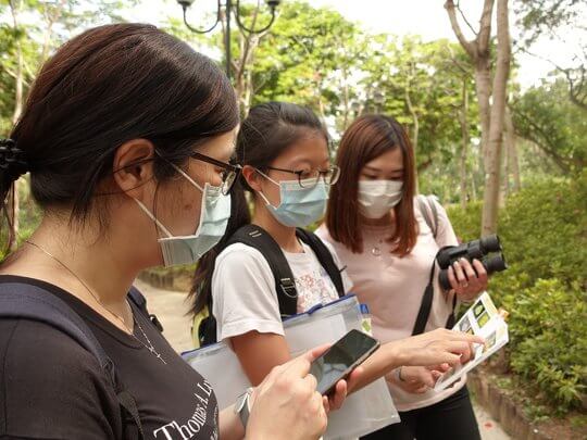 Understanding Hong Kong butterfly’s ecology under tutor’s guidance.