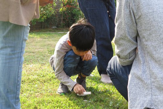 大嶼社區昆蟲及無脊椎類大搜查 – 公眾參與調查