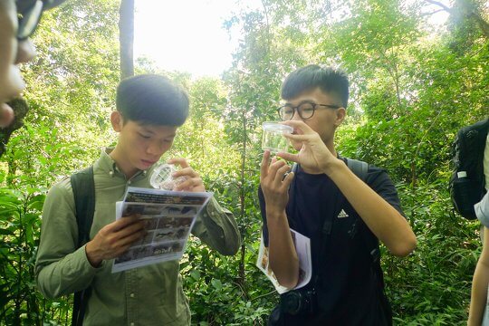 “Community-based Survey on Terrestrial Invertebrates - Search in Lantau”