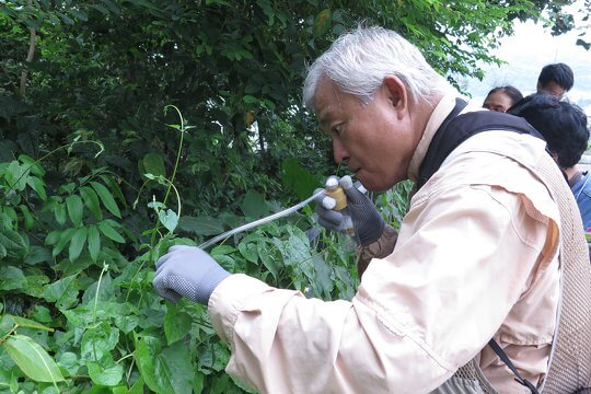 OWLHK Forest Study Camp (Senior)