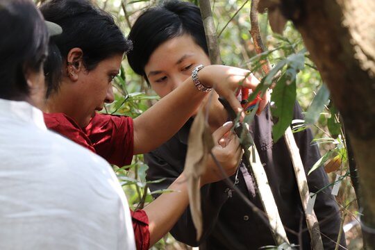 Participants experiencing the forest research and conservation work