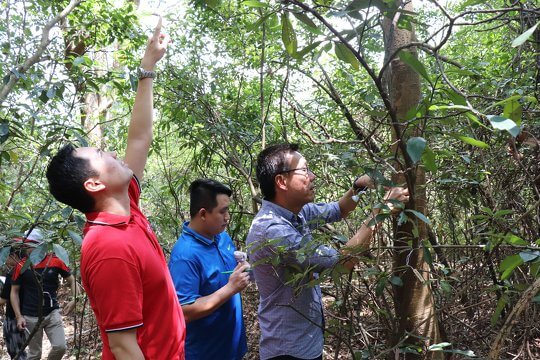 Work in small groups to investigate the relation between forest conservation and sustainable development