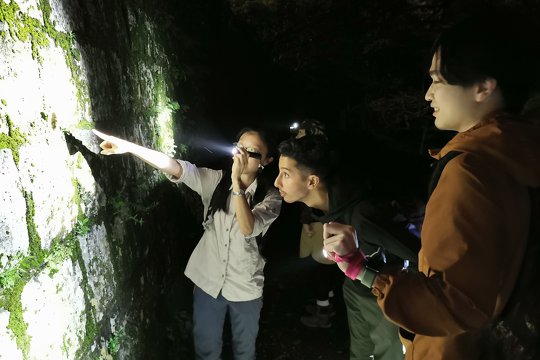 Night Safari into the Forest