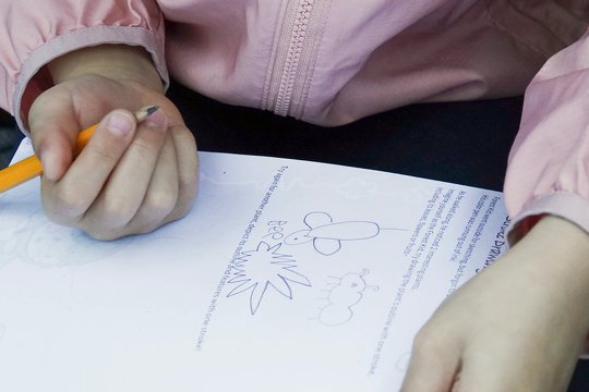 參加者嘗試一筆過畫下葉子、昆蟲，了解動植物的特徵