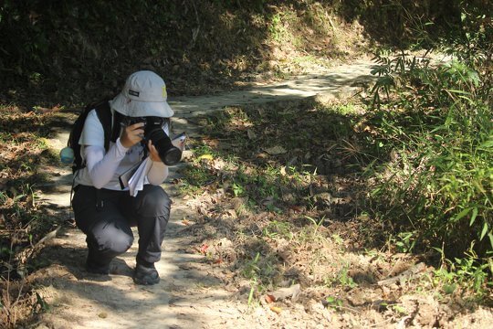 生態調查員拍攝生物及記錄其行為活動