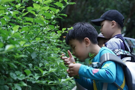 幼兒活動