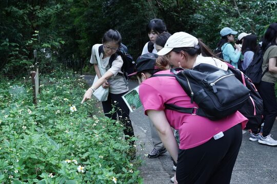 教師活動