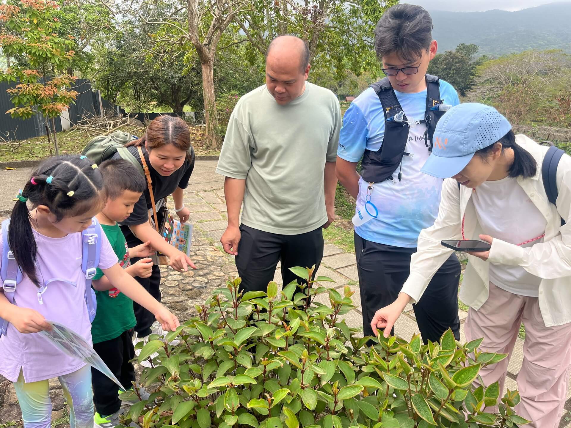 Family Fun Day: The Butterfly Life Cycle Adventure