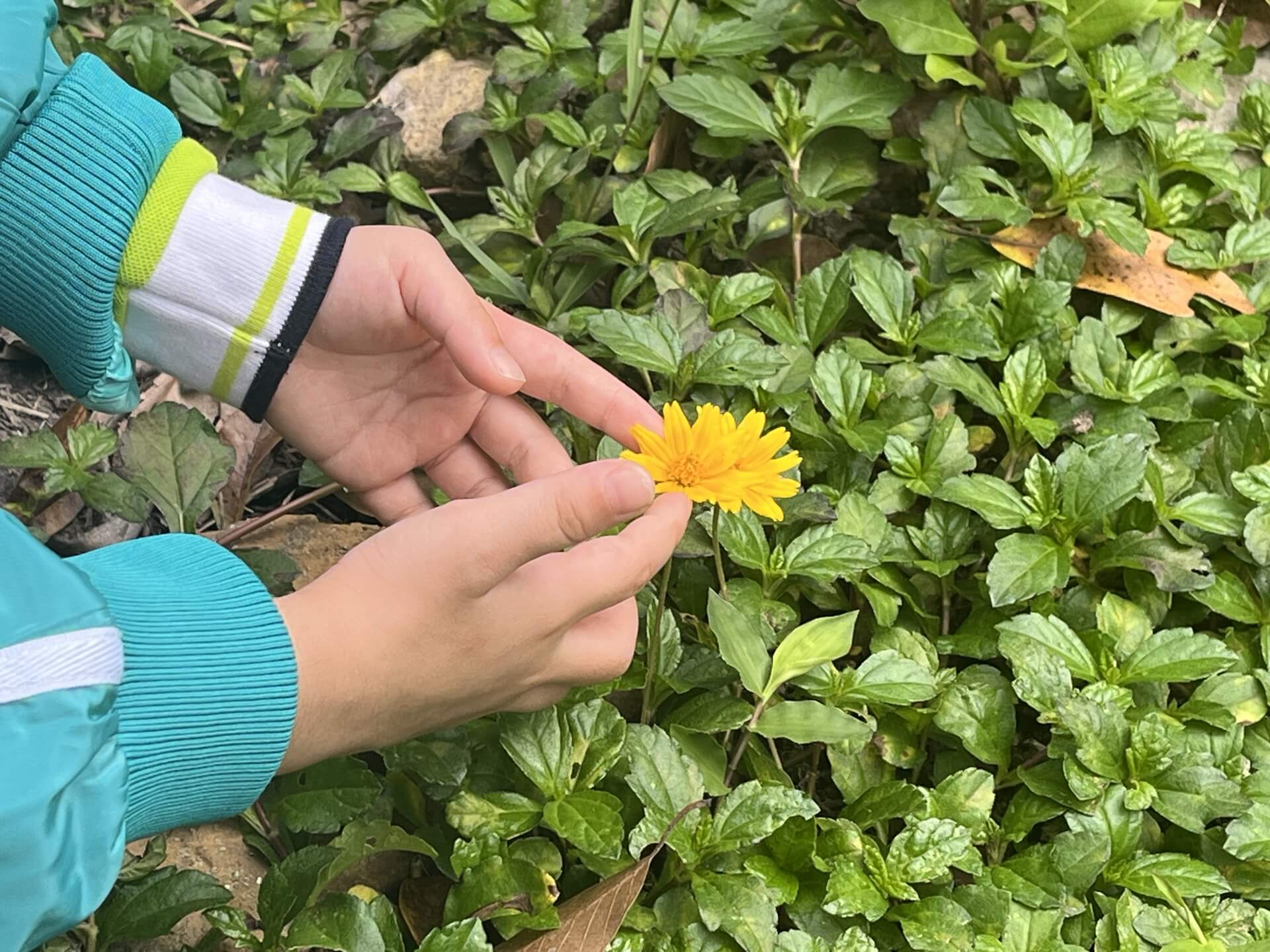 Family Fun Day: Nature Discovery Mission