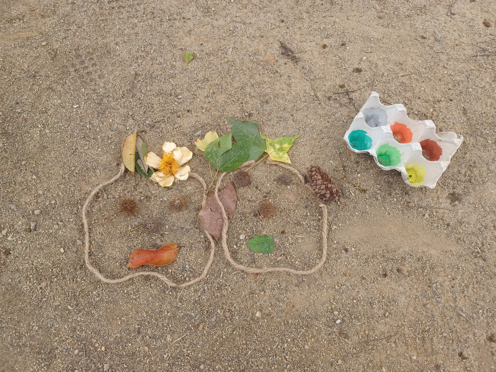 Nature Art Gallery