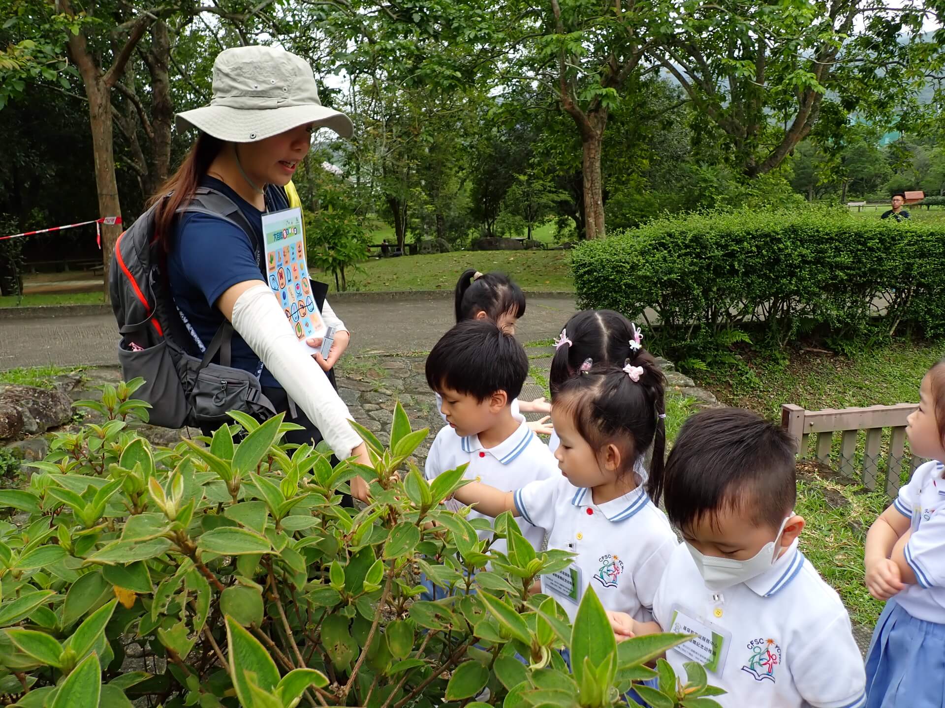Forest Exploration