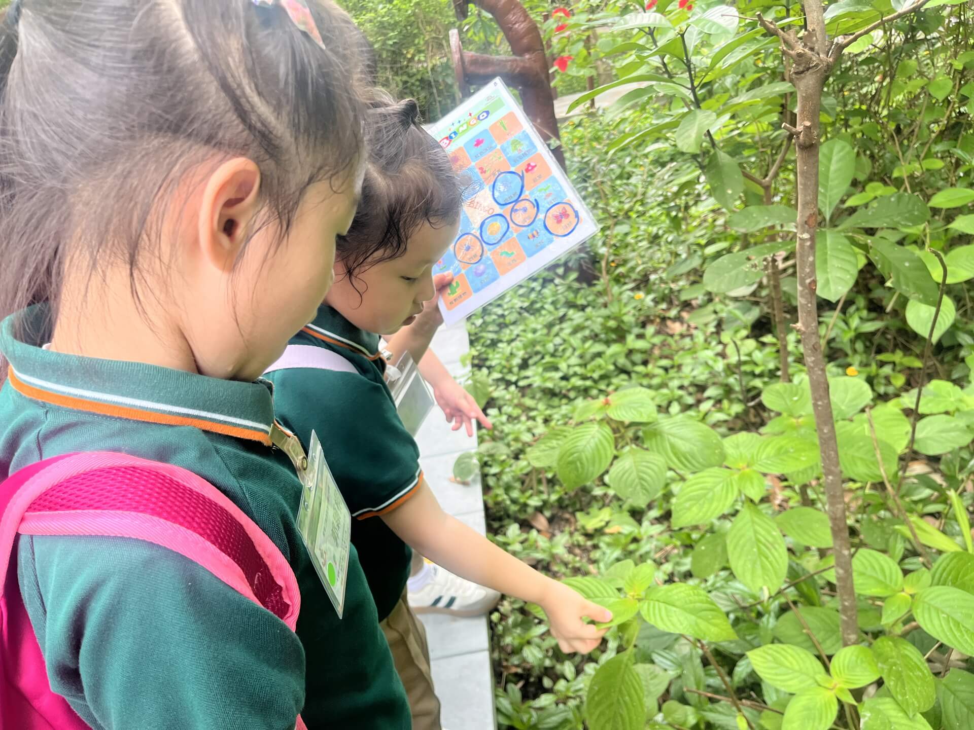 Forest Exploration