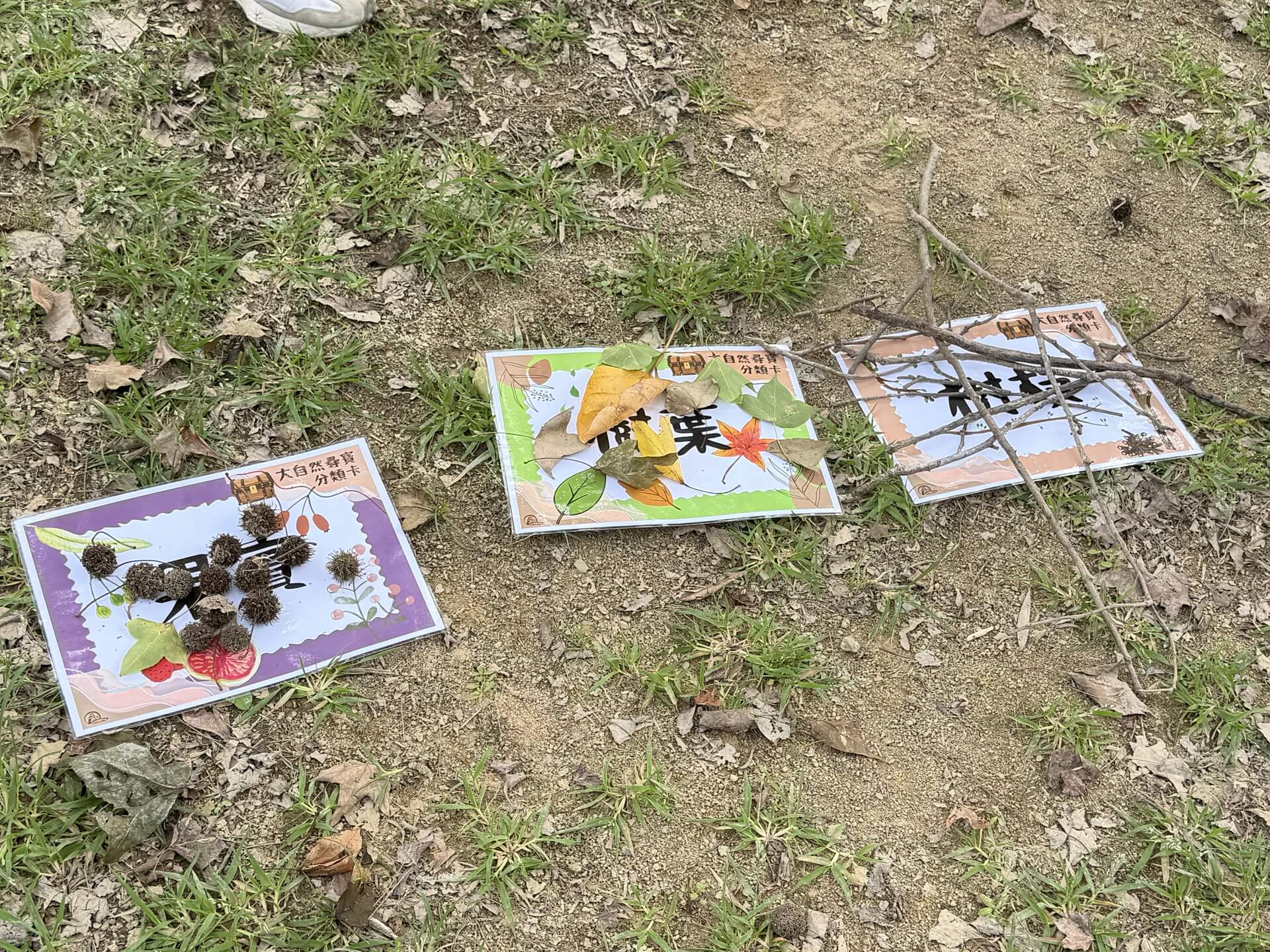 Nature Treasure Hunt