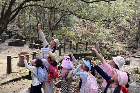 幼兒森林遊學