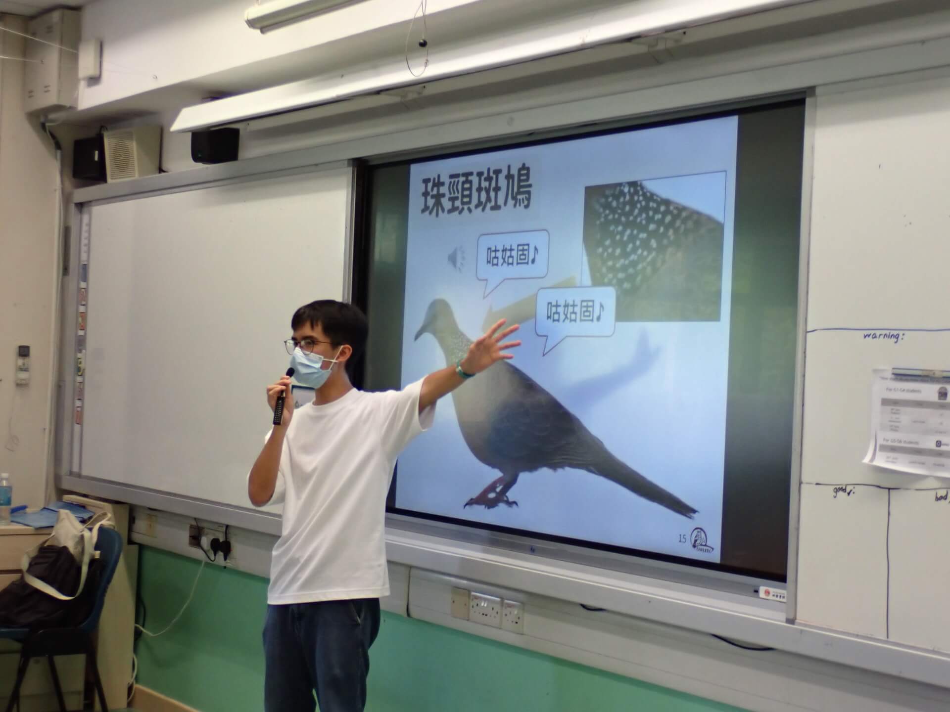 《香港的城市雀鳥》互動講座