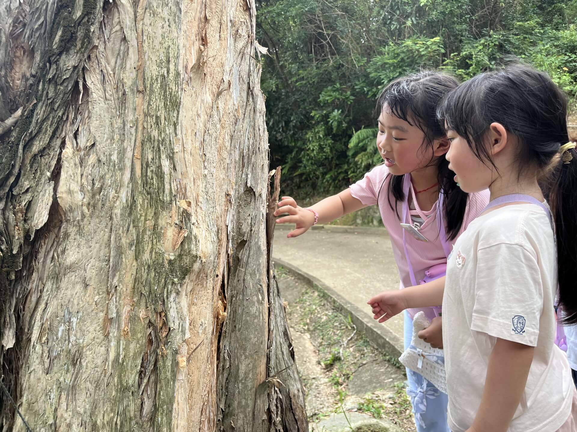 PLK Choi Kai Yau Kindergarten