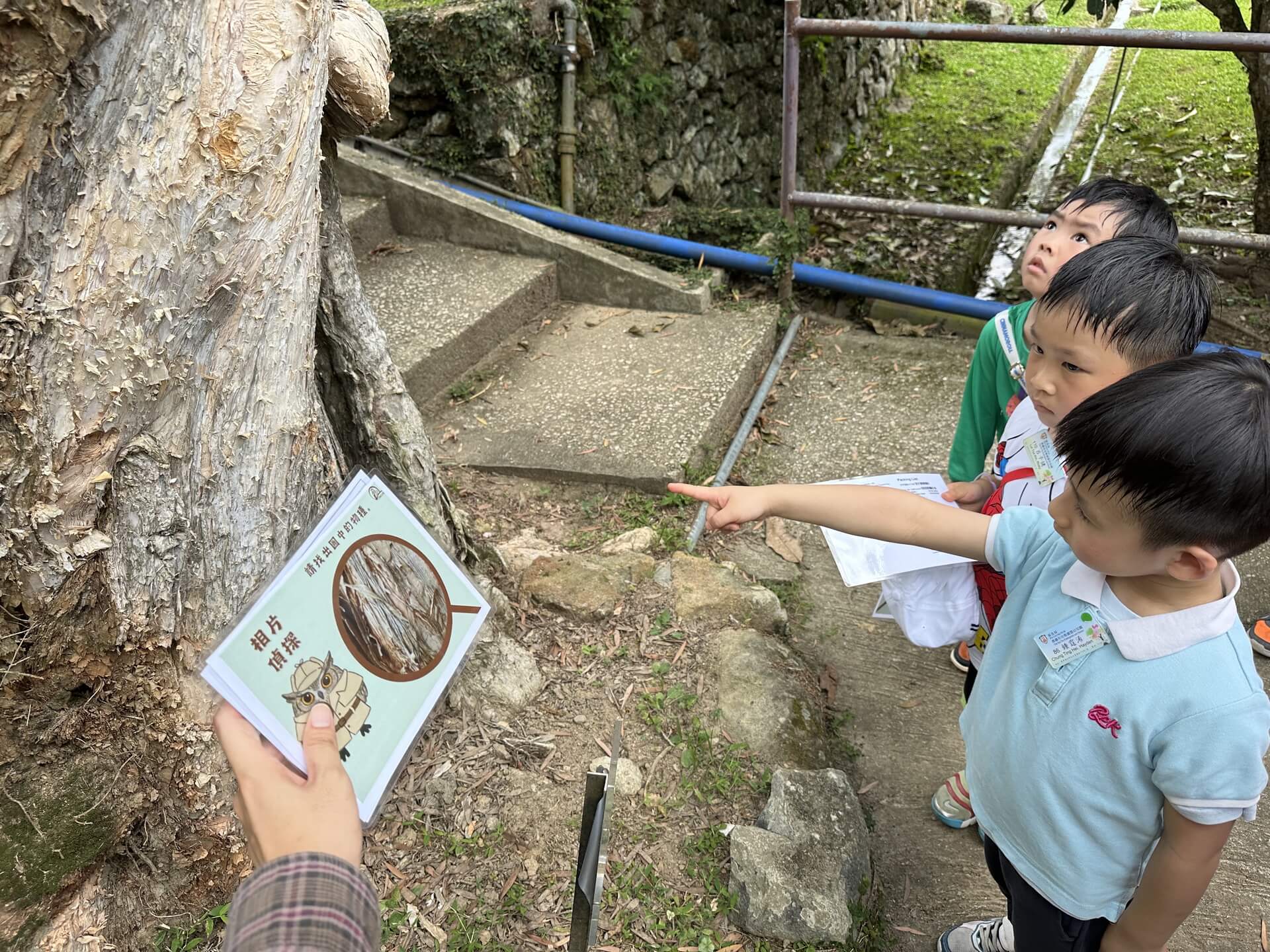 PLK Choi Kai Yau Kindergarten